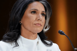 Tulsi Gabbard